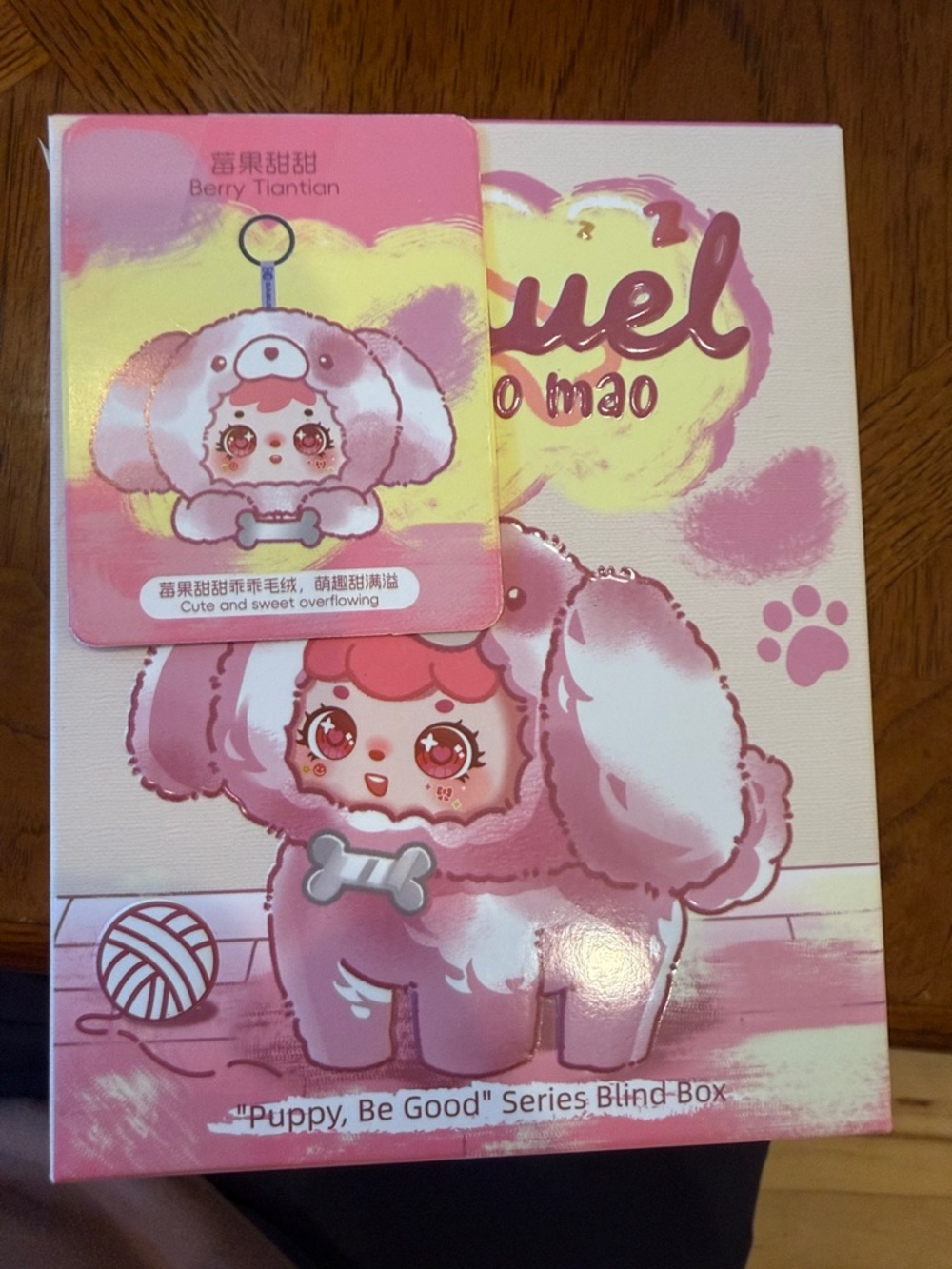 Pink Puppy-Themed Women's Accessory Box